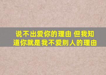 说不出爱你的理由 但我知道你就是我不爱别人的理由